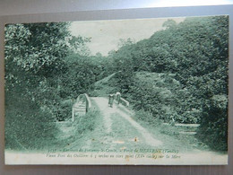 ENVIRONS DE FONTENAY LE COMTE                                  FORET DE MERVENT       VIEUX PONT DES OUILLERES - Saint Hilaire Des Loges