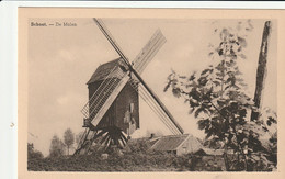 Schoot : De Molen - Tessenderlo