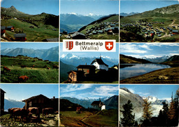 Bettmeralp (Wallis) - 9 Bilder (18656) * 7. 8. 1972 - Bettmeralp