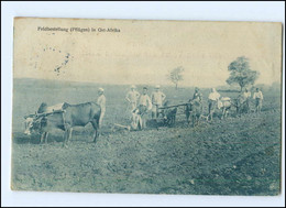 U8324/ Feldbestellung In Ost-Afrika  Ochsenpflug Kolonien AK 1909 - Ehemalige Dt. Kolonien
