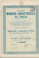 SOCIETE MINIERE ET INDUSTRIELLE DU TAMEGA (PORTUGAL) PART SOCIALE - ANNEE 1925 - Mijnen