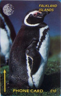 FALKLANDS : 001B L. 10  Pinguin USED - Falklandeilanden