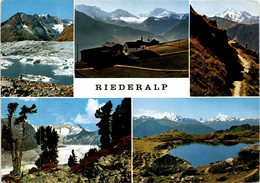 Riederalp - 5 Bilder (44900) * 17. 6. 1968 - Riederalp