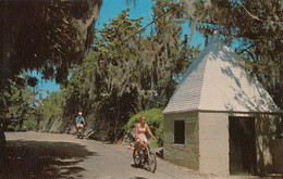 Bermuda - Bermudas - Country Lane - Spanish Moss - Bicycle - Unused - VG Condition - 2 Scans - Bermuda
