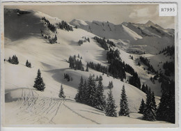 Skigebiet Auf Klewenalp - Autres & Non Classés