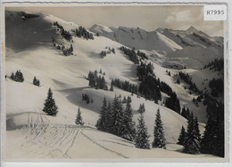 Skigebiet Auf Klewenalp - Sonstige & Ohne Zuordnung