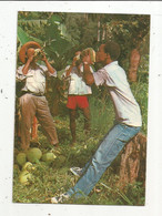 Cp, Martinique ,  En Buvant Des Noix De Coco , écrite 1981 - Autres & Non Classés