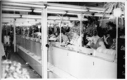 ALLEMAGNE - THURM - THUM  - Cliché De Femmes Au Travail Dans Une Usine En 1962 - Voir Description - Thum