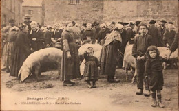 4 Collinée ( C Du N) Marché Aux Cochons   Bretagne Collection E .Helly  1905 - Sonstige Gemeinden