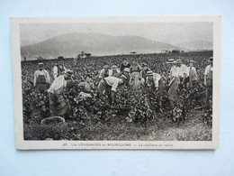 CPA LES VENDANGES EN BOURGOGNE : La Cueillette Du Raisin - Paysans