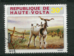 (CL 14 - P.27) Hte Volta Ob N° 281 -  Animaux : Chèvre - - Farm