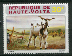 (CL 14 - P.27) Hte Volta ** N° 281 -  Animaux : Chèvre - - Farm