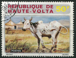 (CL 14 - P.27) Hte Volta Ob N° 282 - Animaux : Vache - - Farm