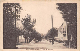 56-CARNAC- PLAGE- L'UNE DES AVENUES - Carnac