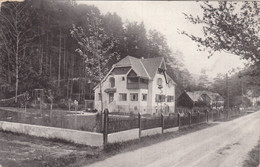 2397) KLOSTERTHAL GUTENSTEIN - NÖ - Tolle Sehr Alte HAUS DETAIL AK Mit Straße - Gel. 1919 - Gutenstein
