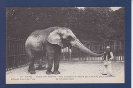 CPA éléphant Dresseur Cirque Circus Non Circulé - Elephants