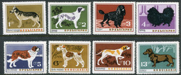 BULGARIA 1964 Dogs MNH / **.  Michel 1462-69 - Nuevos