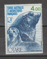 Otarie N°PA54 - Unused Stamps