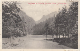 2470) STAUFFENSEE Im GÜTLE Bei DORNBIRN - Arlbergbahn - Sehr Alt !! 1911 - Dornbirn