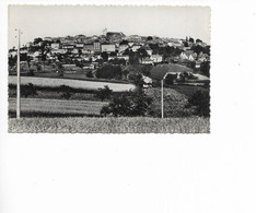 MONFLANQUIN. PANORAMA. - Monflanquin