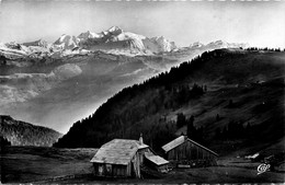 Environs De Divonne Les Bains * Col De La Faucille * Panorama Sur Le Mont Blanc - Divonne Les Bains