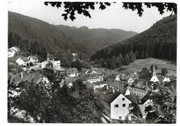 7267  BAD TEINACH / SCHWARZWALD   1967 - Bad Teinach