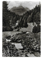 7267  BAD TEINACH / SCHWARZWALD, TAL MIT RUINE ZAVELSTEIN  1967 - Bad Teinach