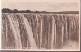 Victoria Falls - Main Fall In Full Flood - Zimbabwe