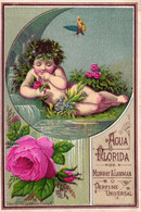 1 Card Agua Florida De Murray & Lanman Perfume Universal 1881 - Antiguas (hasta 1960)