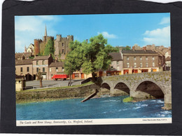 101079     Irlanda,   The  Castle  And  River  Slaney,  Co.  Wexford,   NV(scritta) - Wexford