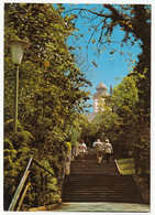 Bad Bellingen - Treppe Mit Blick Zur Pfarrkirche St. Leodegar - Bad Bellingen