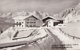 A2453 - Gasthof Steinberghof, Winter In Alps Mountain Werfenweng Salzburg Austria 1964 USED POSTCARD - Werfen