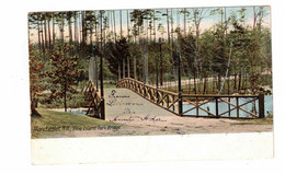 Manchester, New Hampshire, USA, "Manchester, NH, Pine Island Park Bridge", Old Undivided Back Postcard - Manchester