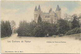 Namur  * Environs De Namur - Château De Faulx-les-Tombes   (Nels Coloré, 17/5) - Gesves