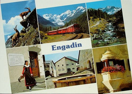 BERNINA Bahn Bei Morteratsch Steinböcke S-chanf Engadin Tracht Guarda - Guarda