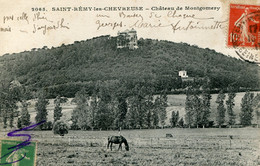 (78) SAINT-REMY Les CHEVREUSE (Chateau De Montgomery) - St.-Rémy-lès-Chevreuse