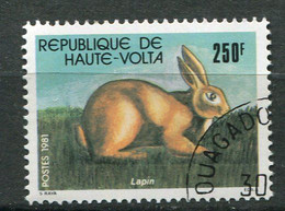 (CL 14 - P.42) Hte Volta Ob N° 567 - Le Lapin - - Farm