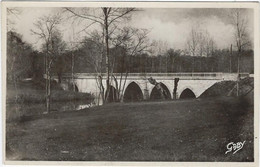 44    Aigrefeuille  Sur Maine   - Le Pont  Diderot - Aigrefeuille-sur-Maine