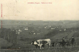 Uriménil * Attelage Vaches Boeufs Agricole Agriculture * Vallée De La Barre * Village - Sonstige & Ohne Zuordnung