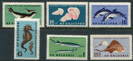 BULGARIA 1961 Black Sea Marine Fauna MNH / **.  Michel 1243-48 - Nuovi