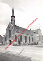 Sint-Antonius - Heilige Antoniuskerk - Zoersel - Zörsel