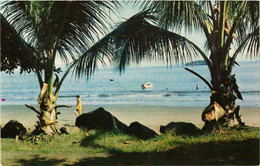 CPM AK Playas Del Coco COSTA RICA (649320) - Costa Rica