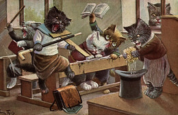 CPA Arthur THIELE - Scuola, École, School - Gatti Umanizzati, Chat Humanisé, Anthropomorphic Cats - VG - T029 - Thiele, Arthur