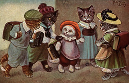 CPA Arthur THIELE - Studenti, Étudiants, Students - Gatti Umanizzati, Chat Humanisé, Anthropomorphic Cats - VG - T035 - Thiele, Arthur