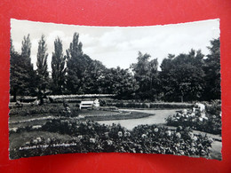 Arnstadt - Schlossgarten - 1959 - Kleinformat - Echt Foto - Briefmarke Olympiade 1960 - Arnstadt