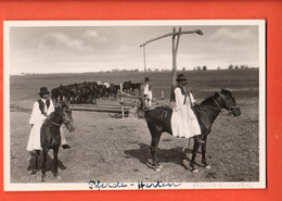 Delcampe - ZMF-31 KECSKEMET_BUGAC. Magyar Csikos Hungarian Hosrse-boy. Not Used Weinstock 1831 - Ungarn