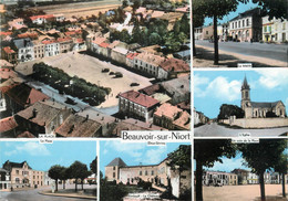 / CPSM FRANCE 79 " Beauvoir Sur Niort" - Beauvoir Sur Niort