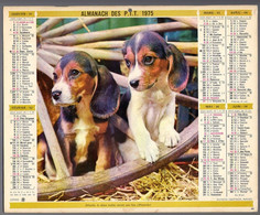 CALENDRIER GF 1975 - Chiots Et Perruches, Imprimeur Oberthur Rennes (calendrier Double) - Tamaño Grande : 1971-80