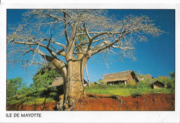 ILE DE MAYOTTE - Case Et Baobab - Mayotte