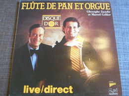 Vinyle Flûte De Pan Et Orgue 1983 - Musicals
